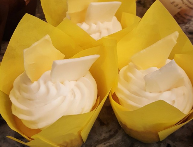 20170306_194034_resized_1